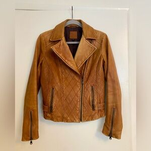 Vintage Gap Authentic Leather Moto Jacket